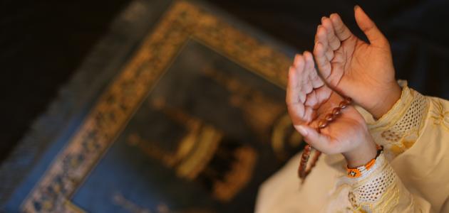3 أعمال بسيطة تدخل الجنة.. البحوث الإسلامية يكشف عنها
