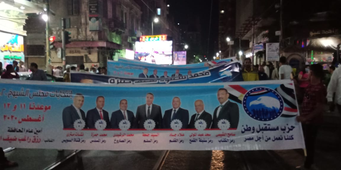 الدعاية الانتخابية لمجلس الشيوخ 
