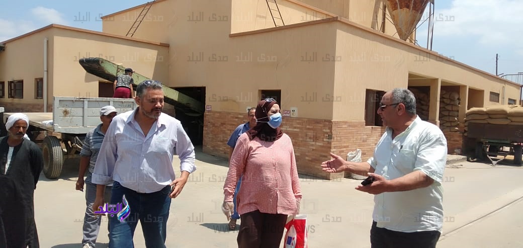 المهندس علي عبدالجواد وكيل وزارة الزراعه بالغربية
