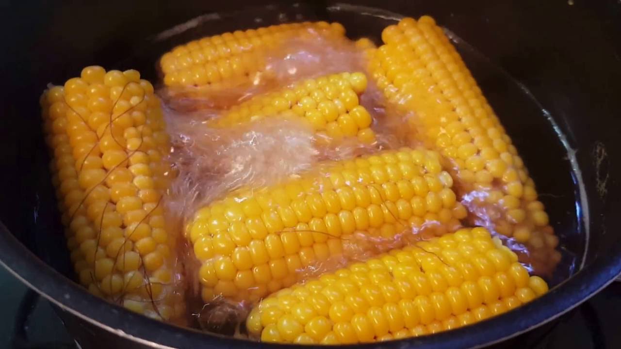 طريقة تخزين الذرة الصفراء لعمل اشهي الوجبات