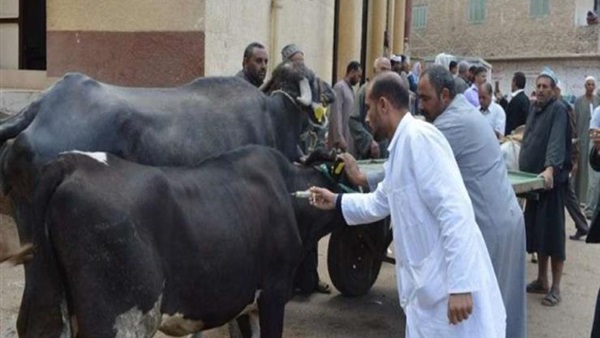 حملات تحصين 