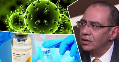 الدكتور حسام حسني 