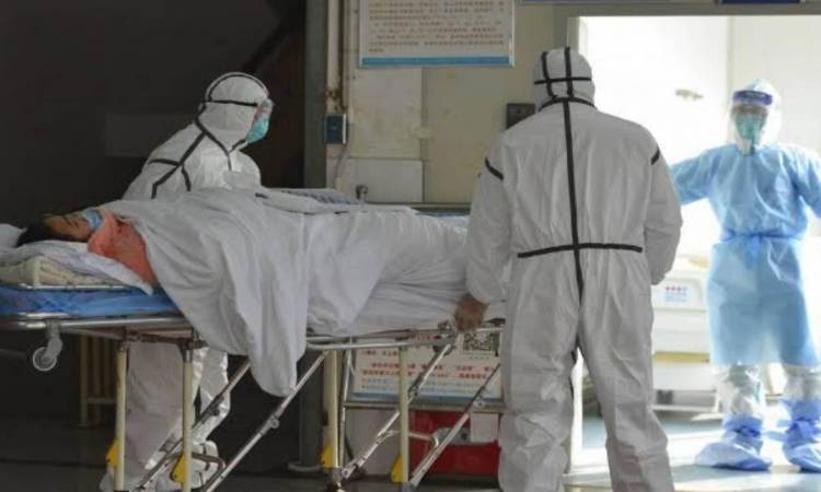 اصابات كورونا - ارشيفي