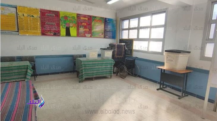 انتخابات مجلس الشيوخ