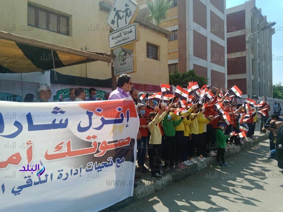 انتخابات مجلس الشيوخ انتخابات مجلس الشيوخ