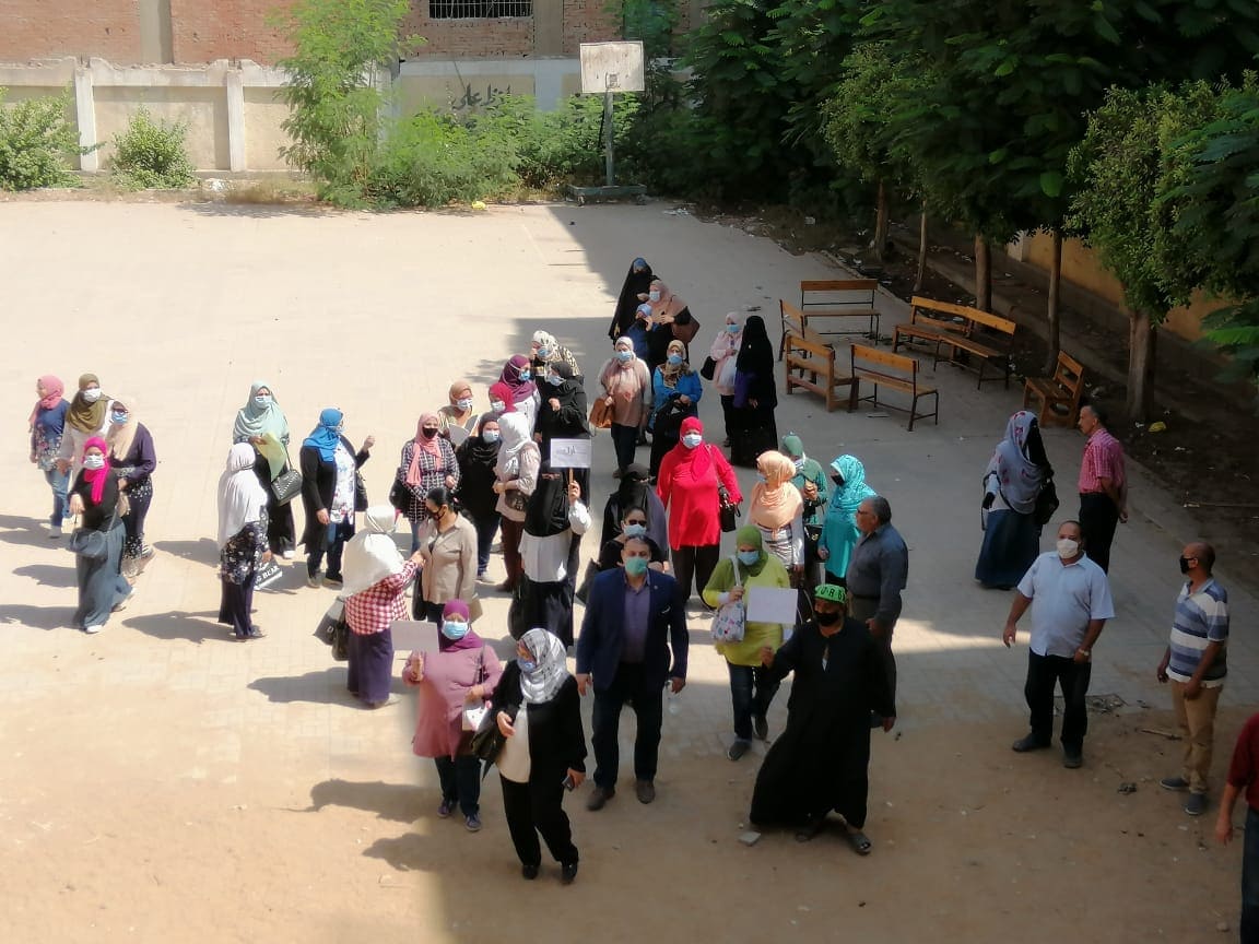 انتخابات مجلس الشيوخ