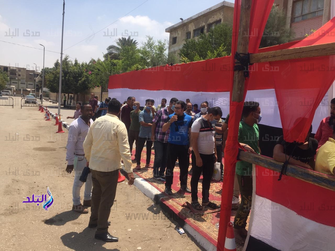 انتخابات مجلس الشيوخ