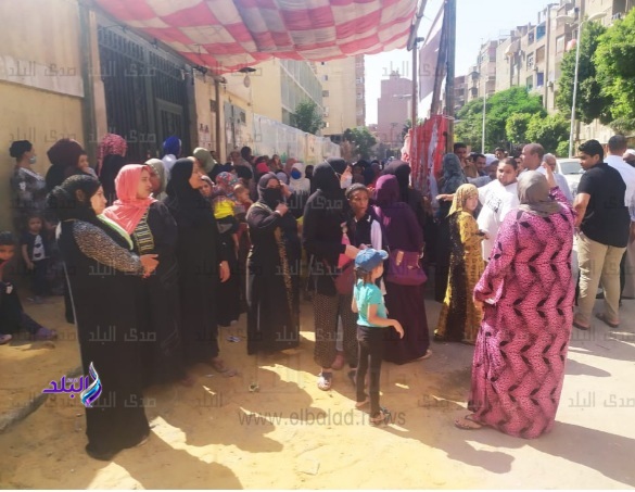 انتخابات مجلس الشيوخ