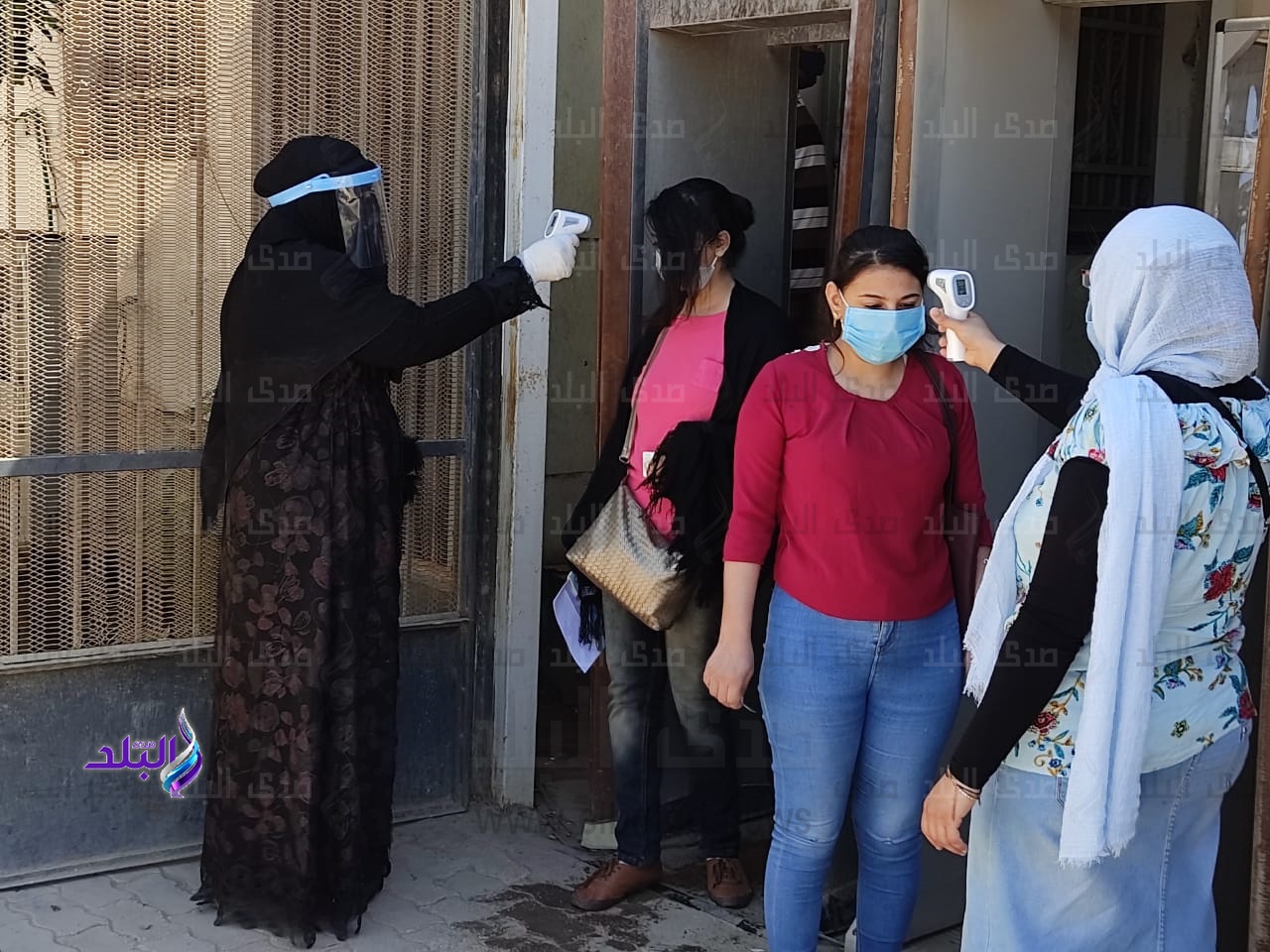 انتخابات مجلس الشيوخ
