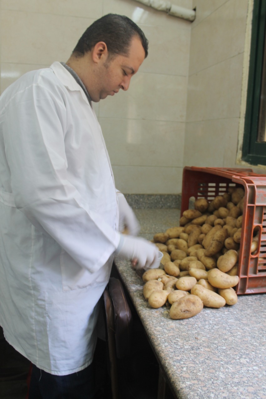 نقيب المهندسين