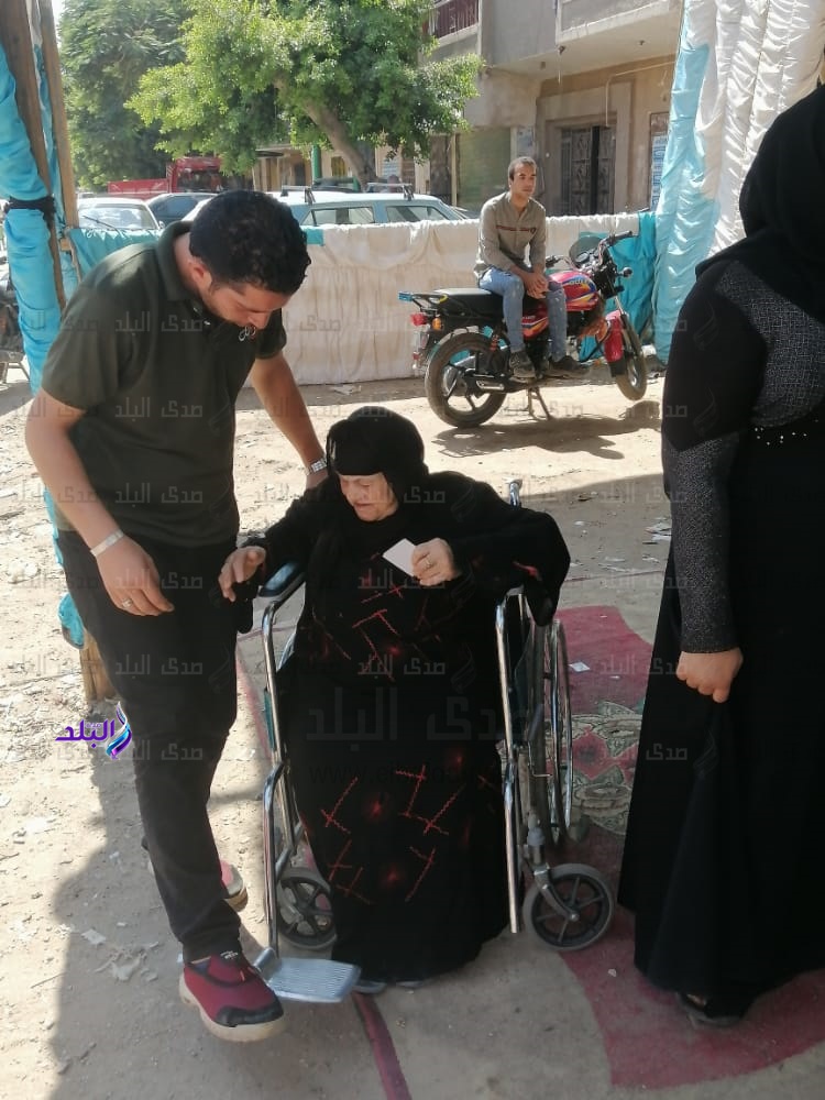 انتخابات الشيوخ 