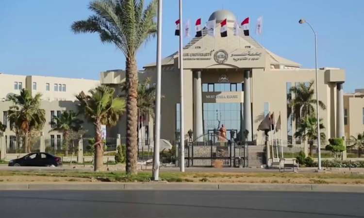 جامعة مصر للعلوم والتكنولوجيا