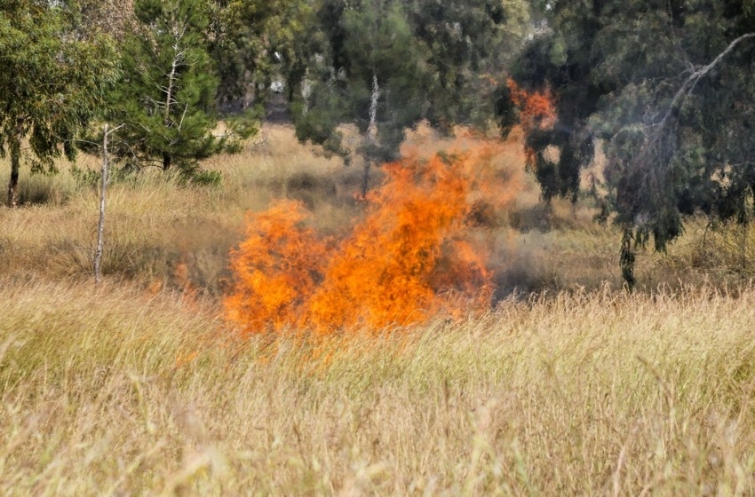 اندلاع عدة حرائق في مستوطنات الغلاف بفعل بالونات غزة