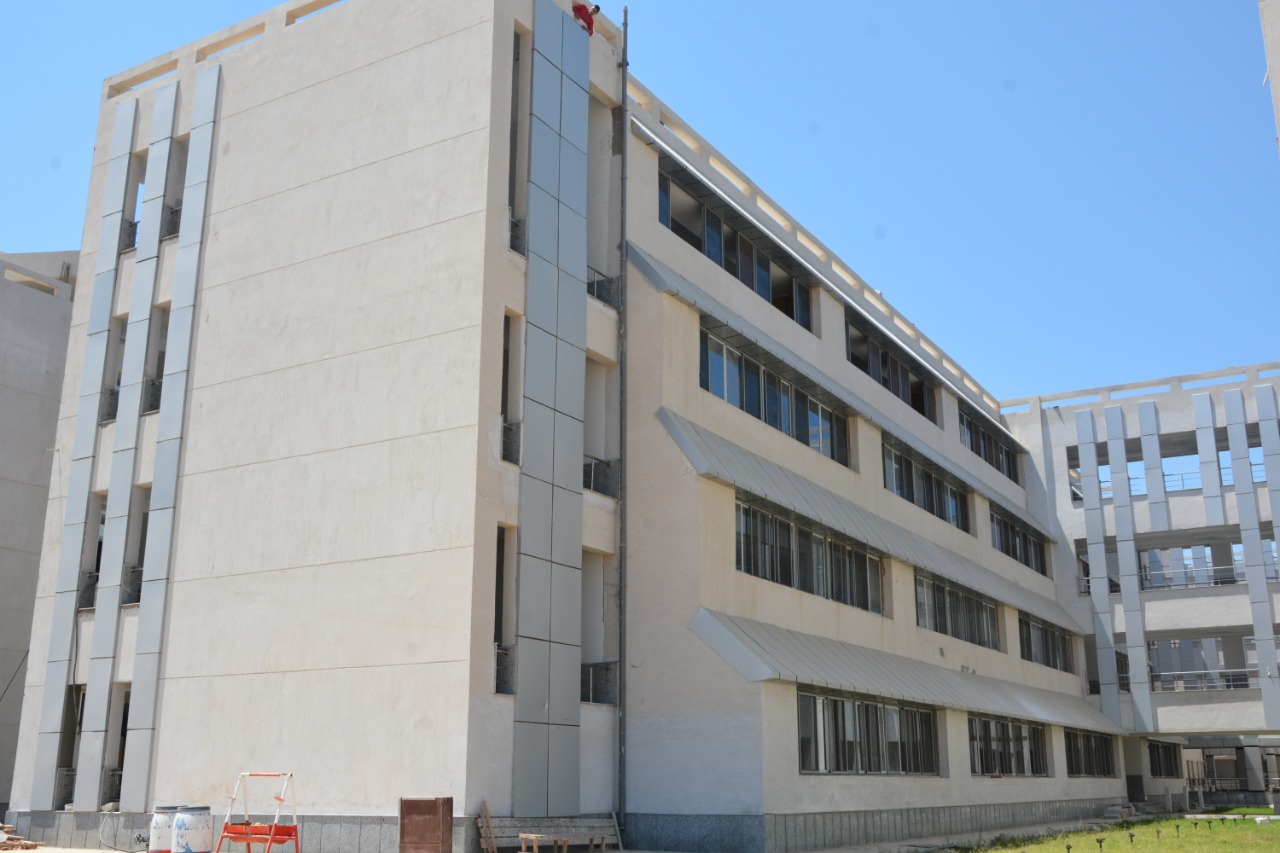 جامعة دمياط