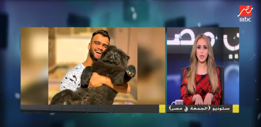 مصطفى حفناوي