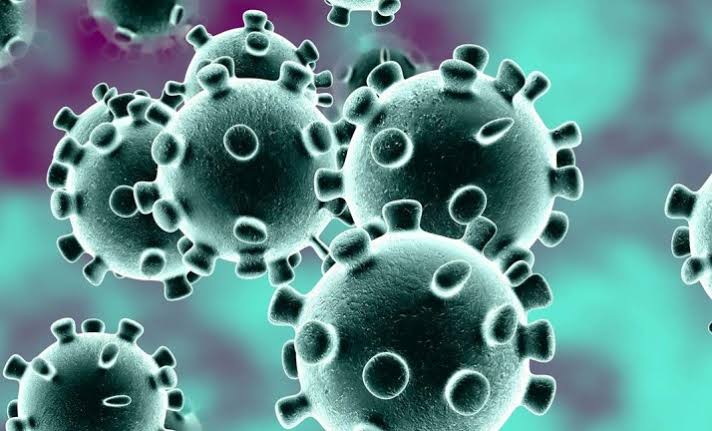 فيروس كورونا فى أفريقيا