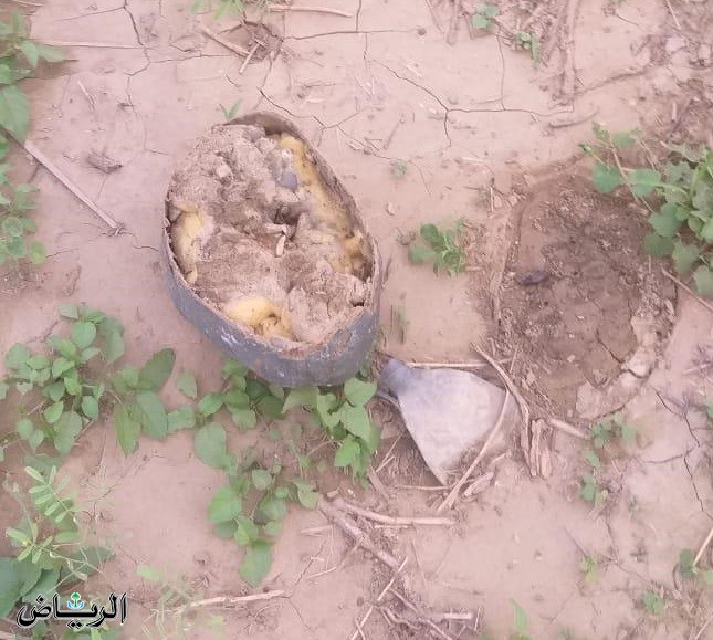 لغم ارضي
