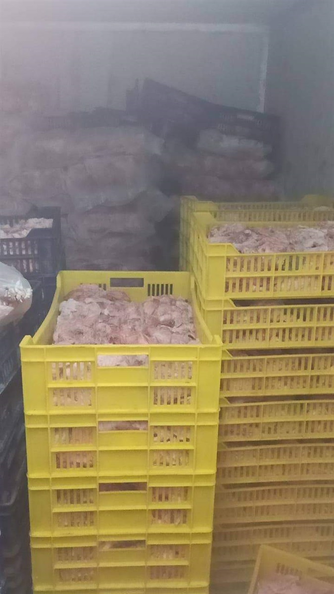 اللحوم الغير صالحة للاستهلاك الآدمي 