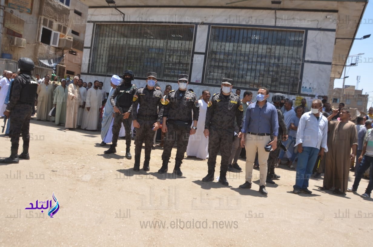 تحرير 205 مخالفة متنوعة