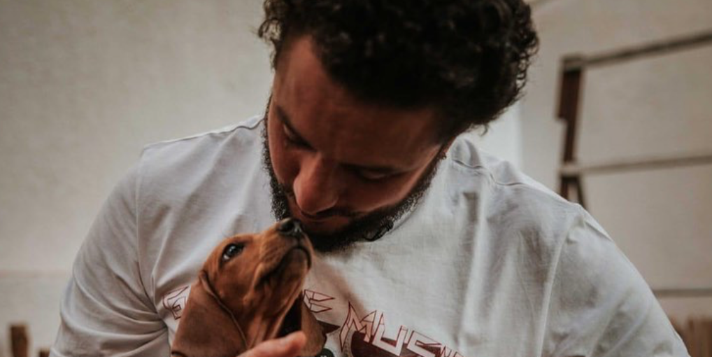 احمد الفيشاوي 