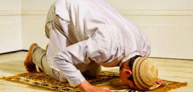 حكم تكرار التشهد الأخير أو جزء منه في الصلاة.. الإفتاء توضح 