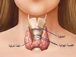 تؤثر على التمثيل الغذائي.. اكتشف اعراض اشهر امراض الغدة الدر