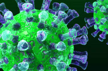 فيروس كورونا