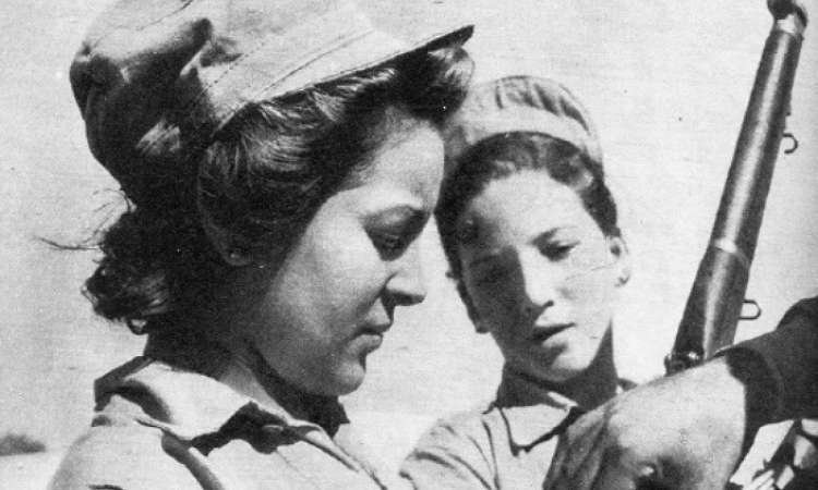 علية الشطوى