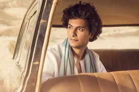 محمد محسن  محمد محسن