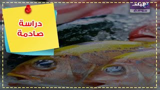 كورونا والطعام
