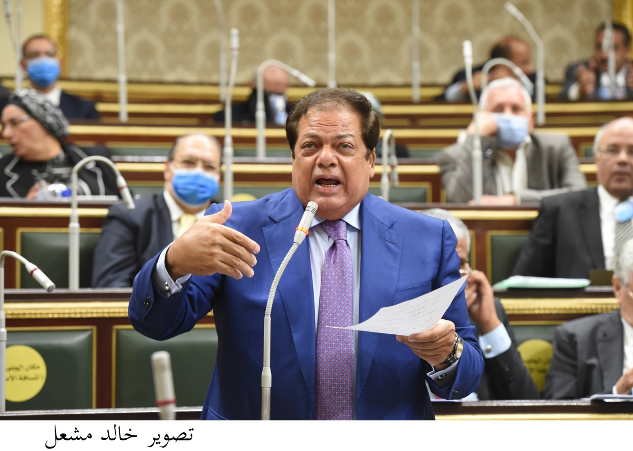 النائب محمد أبو العنين