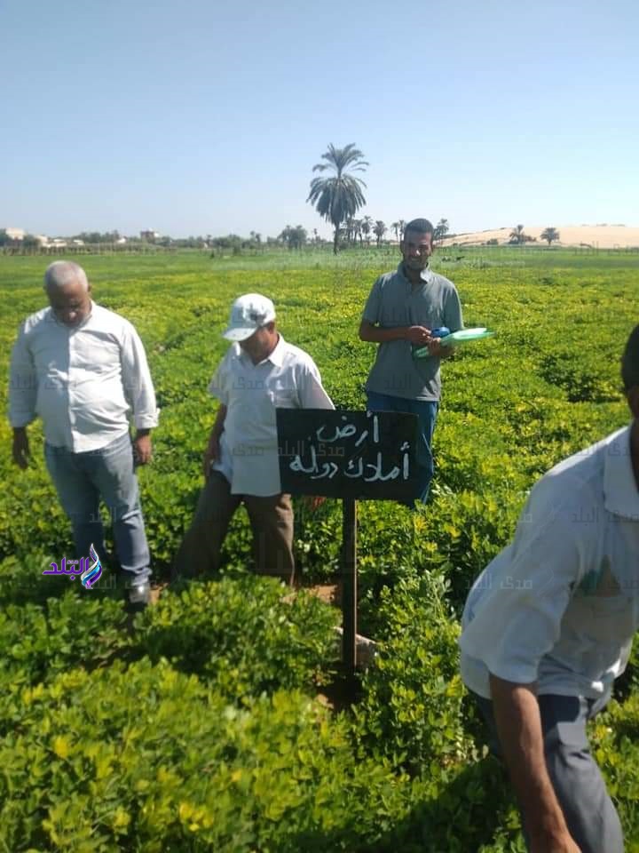 استرداد ٢٦ ألف متر أملاك دولة