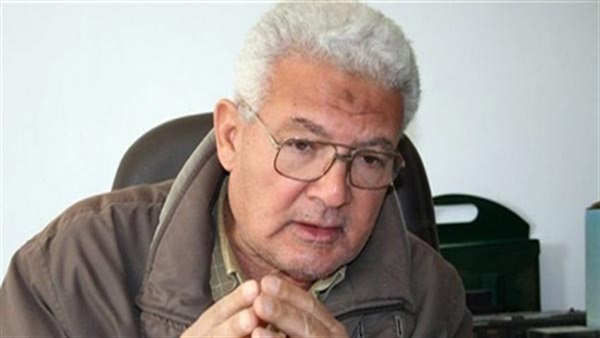 الدكتور ضياء الدين القوصى الدكتور ضياء الدين القوصى