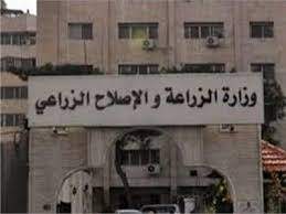 ارشيفية 