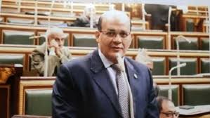 النائب طارق متولي