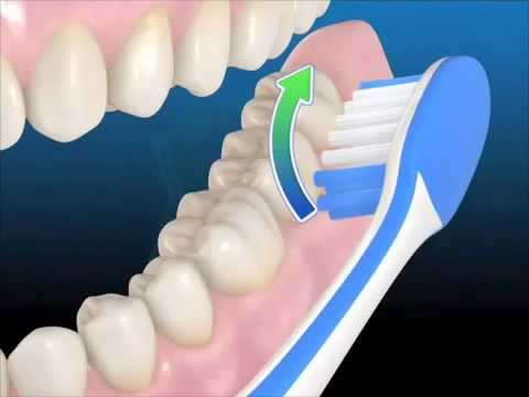 طريقة تنظيف الأسنان 