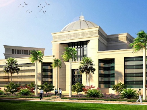 جامعة المنصورة الجديدة