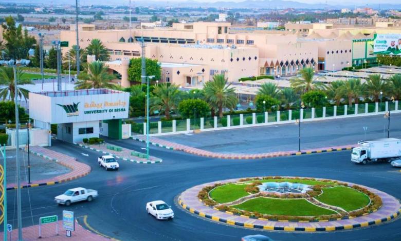 جامعة بيشة 