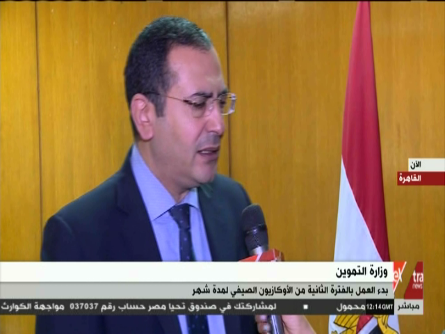 أيمن حسام الدين، مساعد وزير التموين