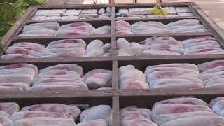 احباط تهريب مخدرات