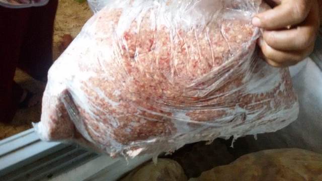 صورة ارشيفية