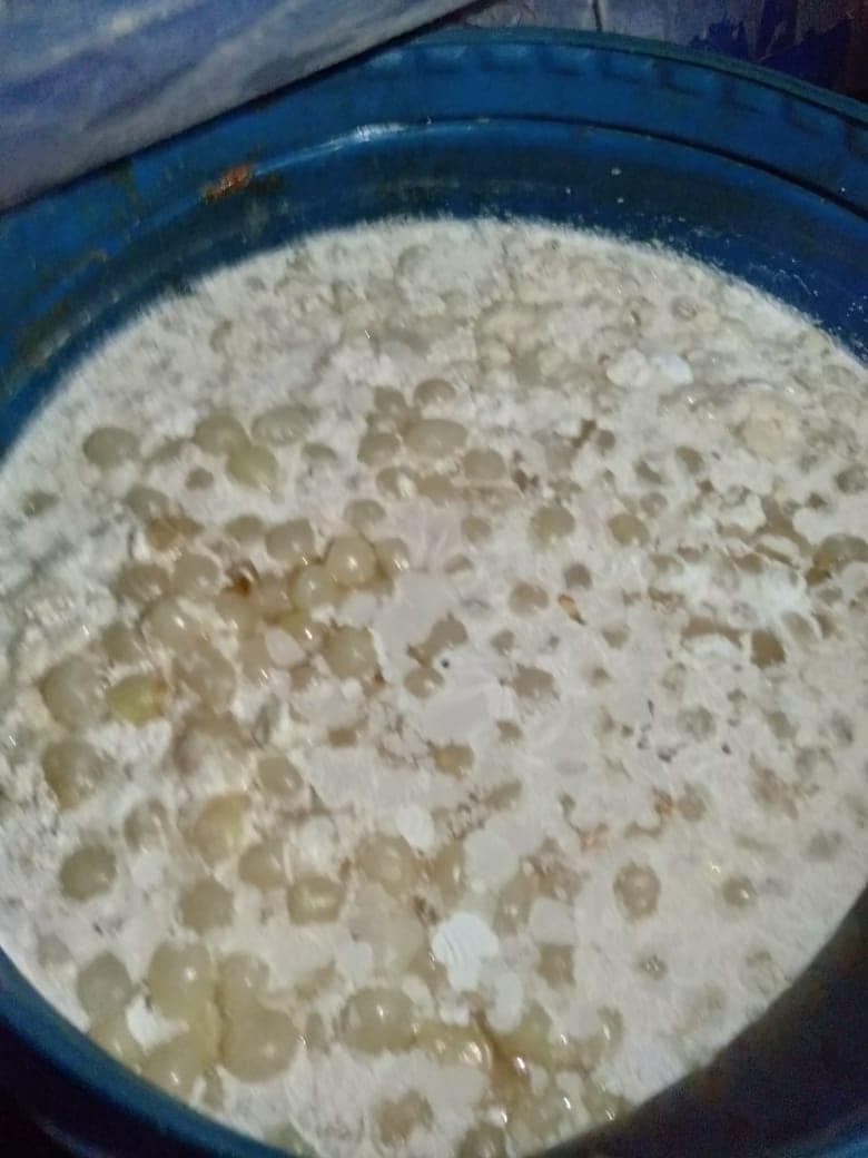 ضبط 13طن مخللات فاسده بمصنع بدون ترخيص في الفيوم