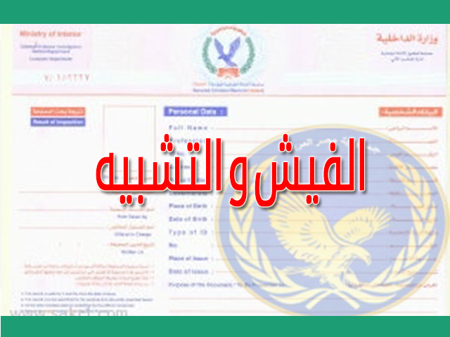 الصحيفة الجنائية
