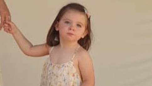 نانسي عجرم 