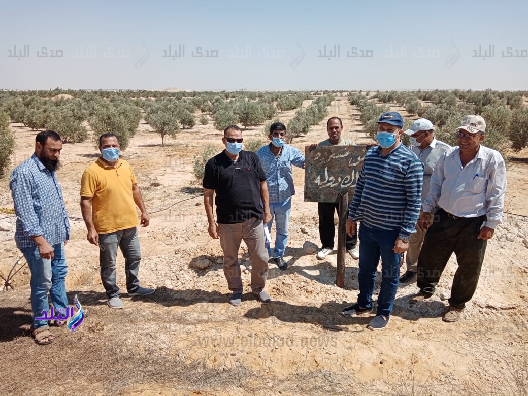 حملات مكبرة لإسترداد أراضي أملاك دولة 