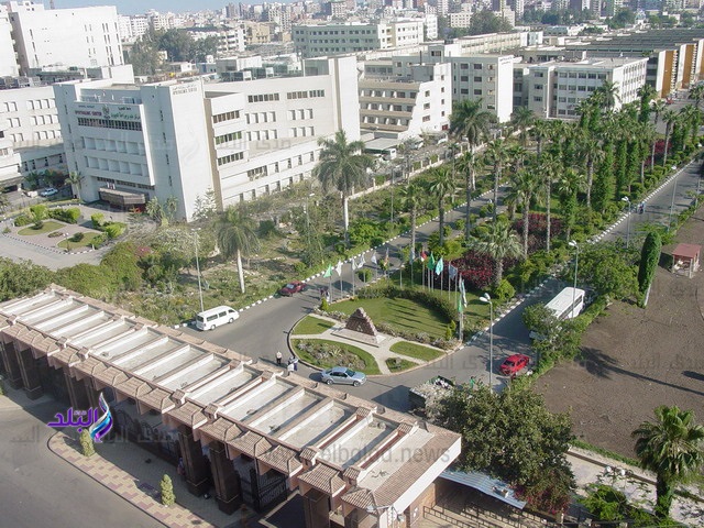 جامعة المنصورة