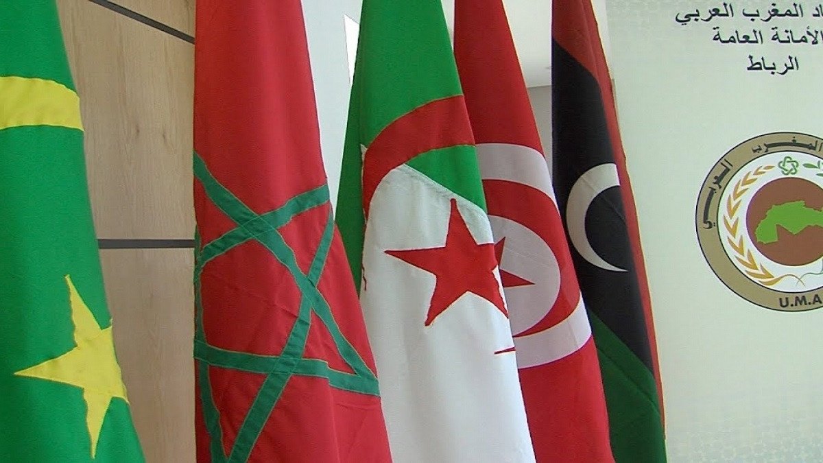 هكذا تحاول تركيا التغلغل في دول المغرب للتحكم فى أفريقيا