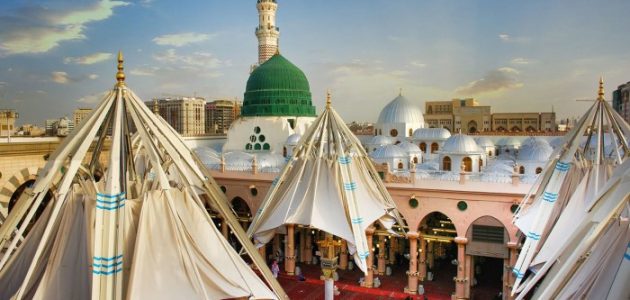 المدينة المنورة 