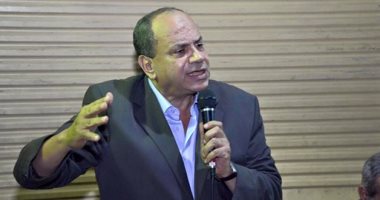 النائب عفيفى كامل