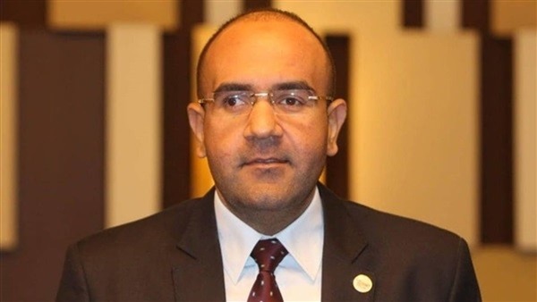  مدير مركز مصر للدراسات الاقتصادية